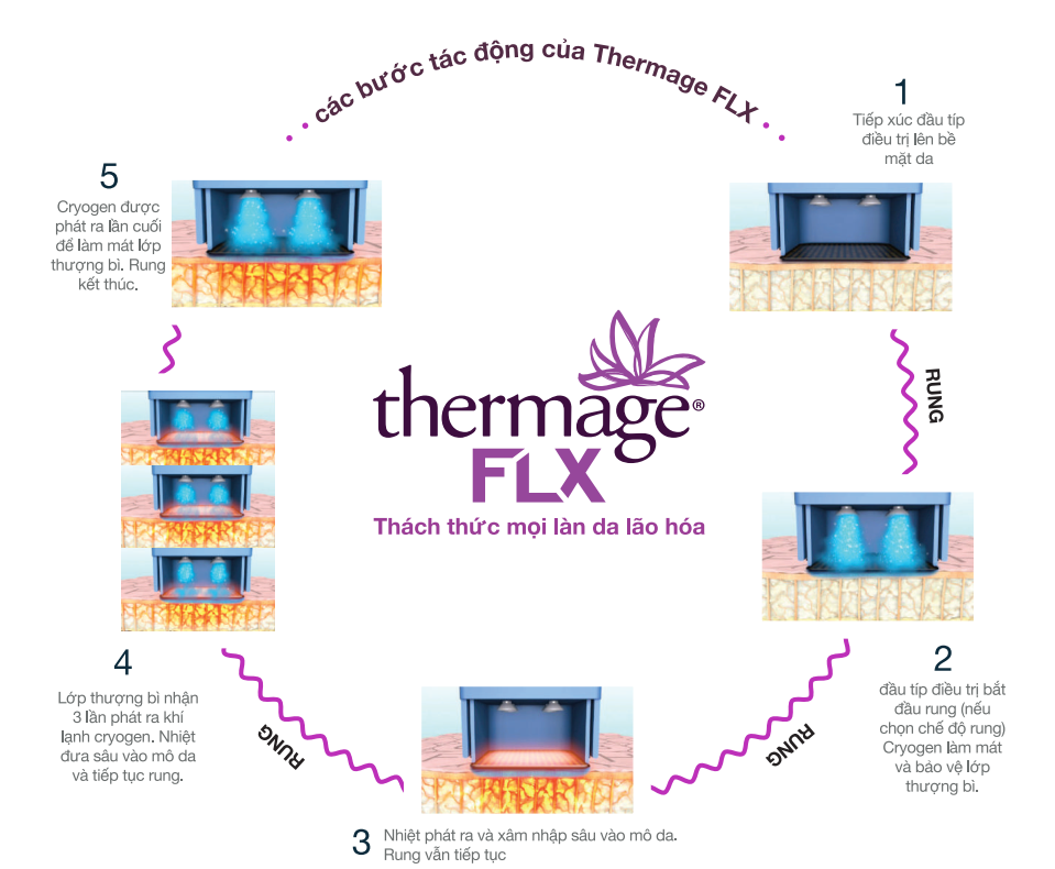 co-che-hoat-dong-thermage